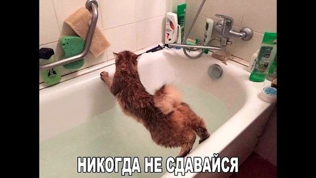 ХОУМ КРЕДИТ БАНК намёки-пугалки не сработали смотреть онлайн