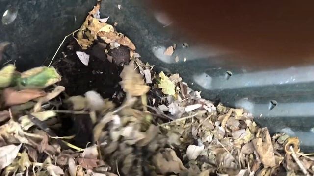 Rubbermaid compost bin 1 смотреть онлайн