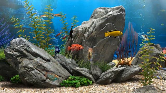 3D Fish Aquarium - 21:9 [Live Wallpaper] - (1080p) смотреть онлайн