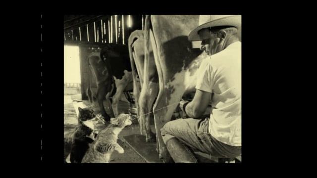 Что произошло с селом? смотреть онлайн