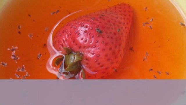 Профессиональный Строитель