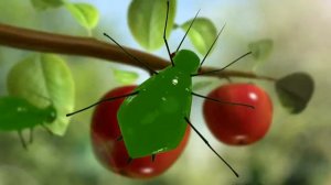 Avgust Biotlin Insecticide