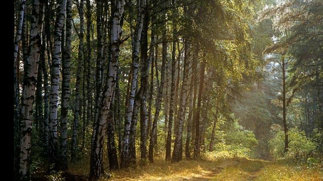 Untitled 1920x1080А Днепров Россия смотреть онлайн