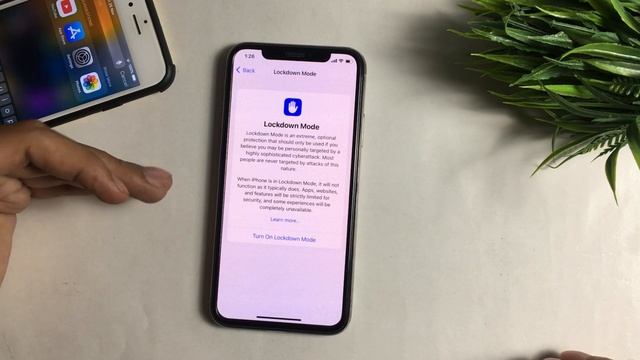 Developer Mode IPhone ?| How To Get Developer Mode On IPhone | Developer Mode Not Showing Ios 16