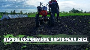 Первое окучивание Картофеля на МОТОБЛОКЕ 2023 ! ДИСКОВЫЙ Окучник !
