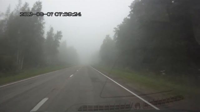 Туман.Едешь как ёжик в тумане. смотреть онлайн