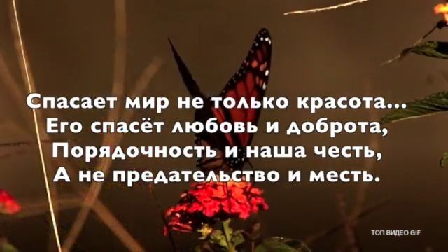 Эсли бабочки летают значит весна ! смотреть онлайн