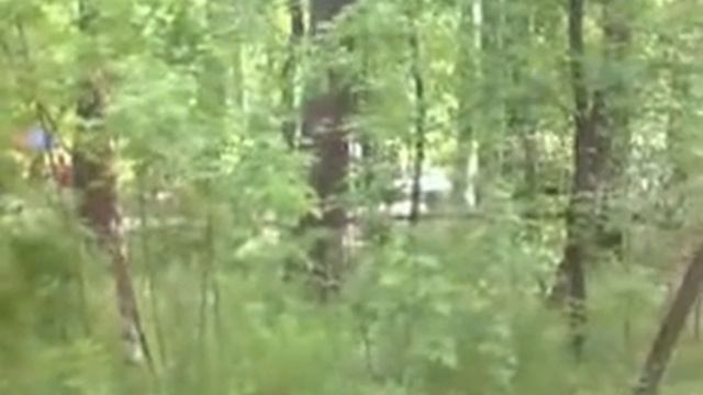 В детском парке 