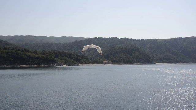 Греция. Паромом на Афон