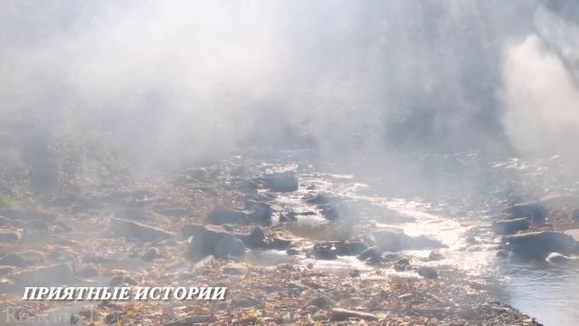 Богатая дочь через 20 лет нашла родного отца и притворилась бедной, она была шокирована от... смотреть онлайн