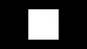 БЕЛЫЙ КВАДРАТ НА ЧЁРНОМ ФОНЕ