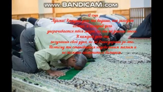 Слушай этот Кудси хадис прежде чем начать свой день смотреть онлайн