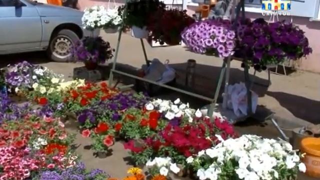 Цветочная клептомания [ВИДЕО] смотреть онлайн