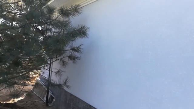 Законченный мокрый фасад. Год спустя. Декоративная штукатурка Набрызг. смотреть онлайн