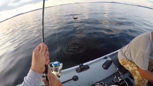 Карелия Пяозеро рыбалка 2019 смотреть онлайн