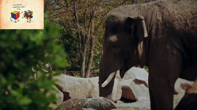 ПОЧЕМУ ТЕБЕ НУЖНО УЧИТЬСЯ_10 МИНУТ МОТИВАЦИИ. смотреть онлайн