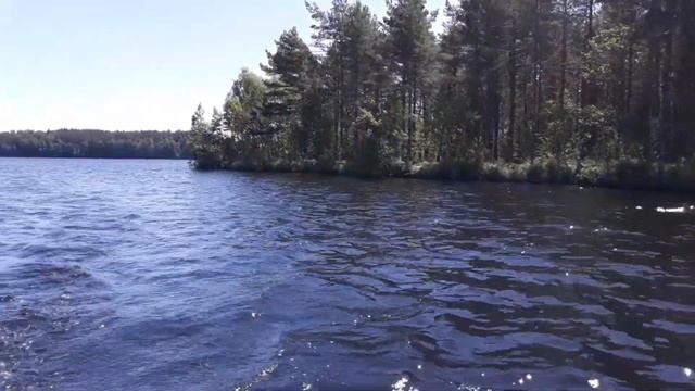 Тестовый заплыв по озеру на лодке ПВХ с электромотором Promarine смотреть онлайн