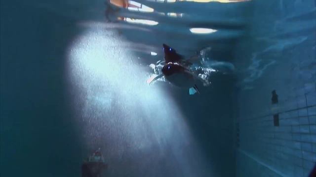 Festo Bionic Robots Part II | 7 Amazing Animal Inspired Robots | Robotics Engineering