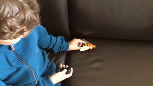 Распаковка робот пчела honey bee Unboxing robot honey bee