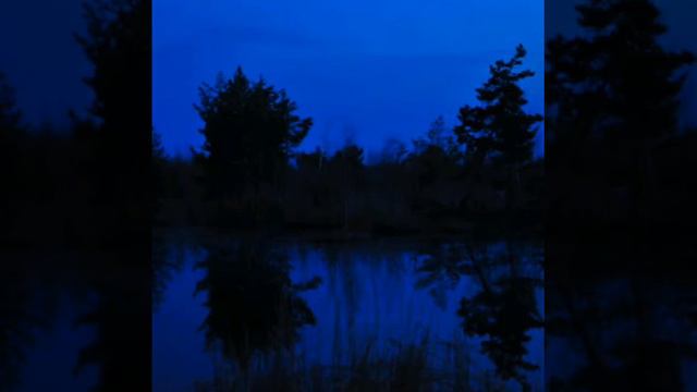 Страшная история на ночь"Болото" смотреть онлайн