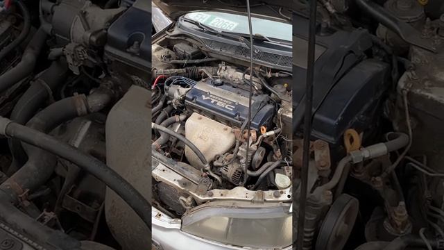 Accord F20B SIR, первая заводка после покупки. смотреть онлайн