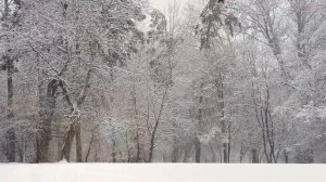 Истов & ARhip - Самый белый снег