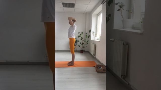 Практика хатха йоги. Начинающий и продолжающие уровни? смотреть онлайн