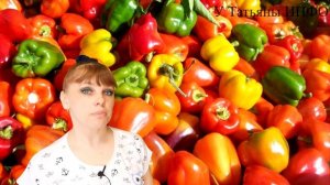 ХОРОШИЕ и ПЛОХИЕ соседи ПЕРЦА !!! Что посадить рядом с перцем болгарским на грядке?