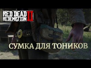 RDR 2. Сумка для тоников #1