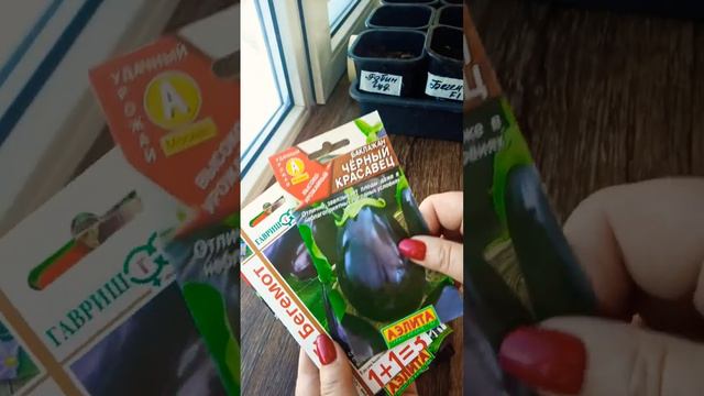 РАНЕСПЕЛЫЕ УРОЖАЙНЫЕ БАКЛАЖАНЫ
