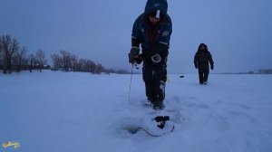 ИЩУ СУДАКА НОВЫМ ЭХОЛОТОМ RIVERTECH. РЫБАЛКА НА ВОЛГЕ В ГЛУХОЗИМЬЕ