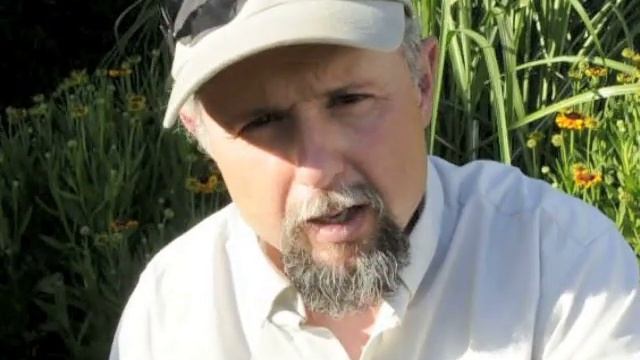 Helenium Mardi Gras and Aster Frikartii смотреть онлайн