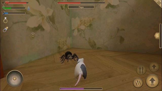 СИМУЛЯТОР МЫШИ #36 ОХОТИТСЯ ПАУК выполняем ЗАДАНИЯ в Mouse Simulator смотреть онлайн