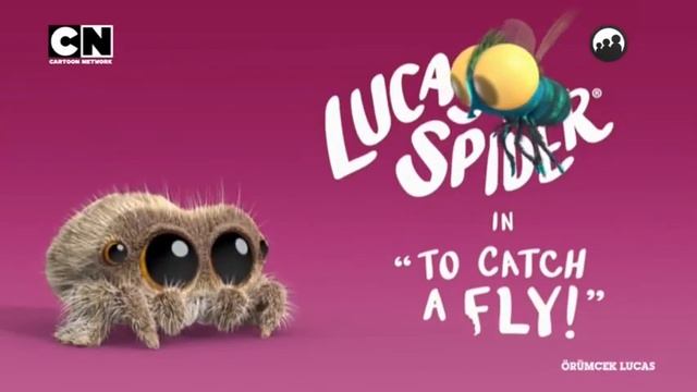 Örümcek Lucas 14 Mart 2023 İzle (Sinek Yakalamak İçin!) смотреть онлайн