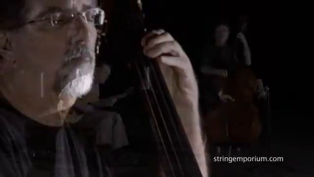 'Have You Met' The Thompson Plywood Basses? смотреть онлайн