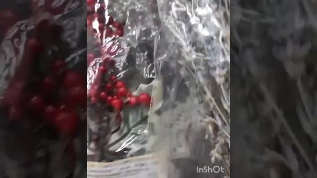 Осеннии цветы и поход в Леонардо?????? смотреть онлайн