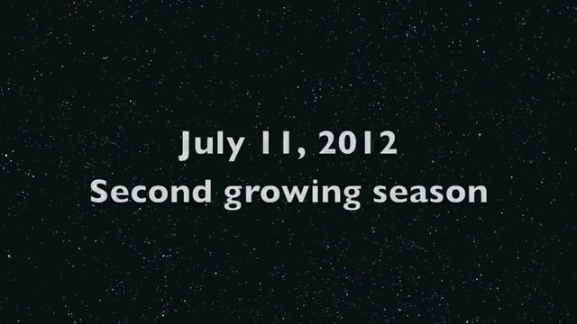A rose seedling grows up (2012) смотреть онлайн