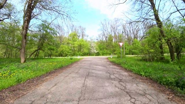 Заповедник Красный лес Красноармейский район Краснодарский край смотреть онлайн