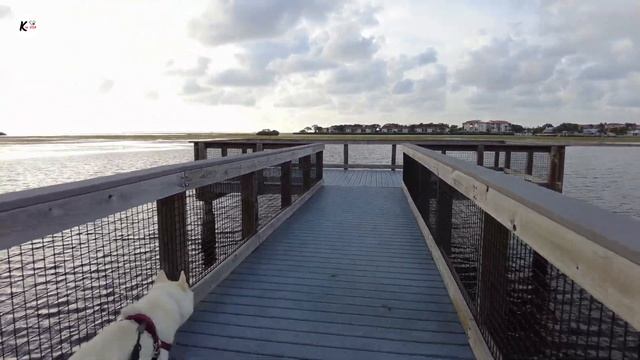 ??НЛО или Санта?? Новая Палета уже Тут) Спасаем Черепашку? Плавающие Авто? смотреть онлайн