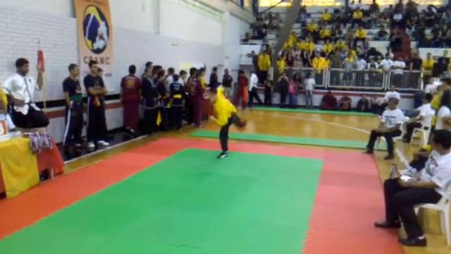 Ing Shou Gun by Mansur no Campeonato Inter-estados смотреть онлайн