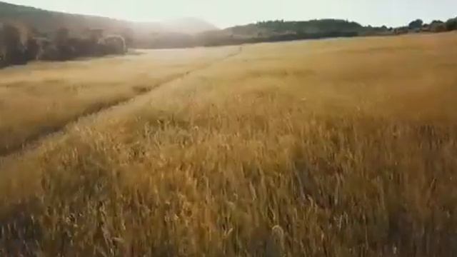 Красивая песня!! Выйду Ночью в Поле с Конем (Cover) смотреть онлайн