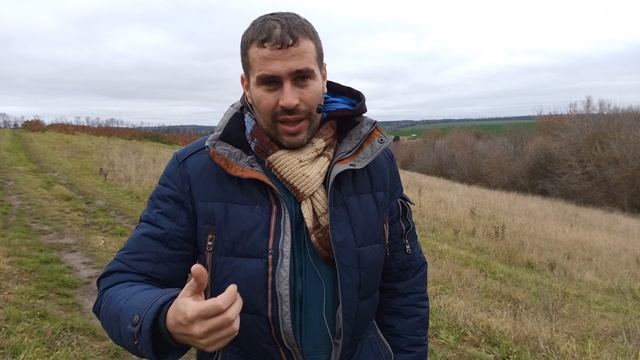 Оптовая цена меда 2022. Когда сдавать мед оптом? смотреть онлайн