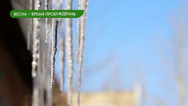 Сезонные изменения в жизни организмов смотреть онлайн