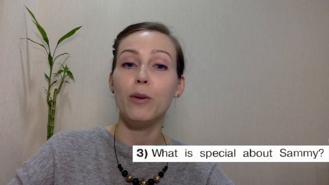 Английский урок 4 класс Кузовлев Часть 1 стр 31-32 #английскийязык4класс #english4Кузовлев #english смотреть онлайн