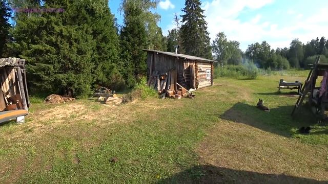 Ремонт избы. Меняем нижние венцы. 8 серия /Пилим доски из брёвен. Собираем ягоды/ смотреть онлайн