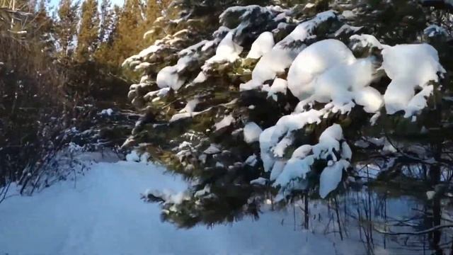 Мотобуксировщик на природе! смотреть онлайн