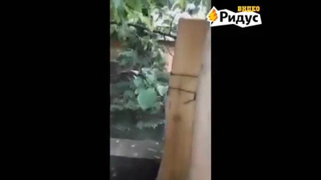 опасные дачи подмосковья смотреть онлайн