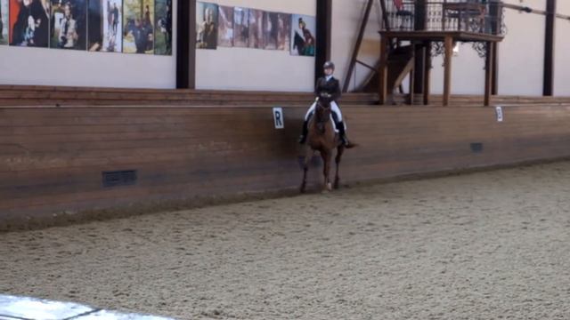 Предварительная езда для лошадей семи лет FEI, Лапидус И. и Восторг смотреть онлайн