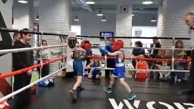 Бокс дети соревнования
