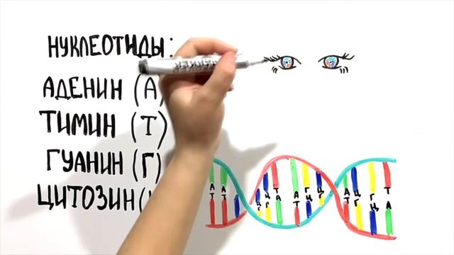 ДНК - Что это такое? смотреть онлайн
